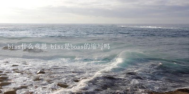 biss什么意思 biss是boss的缩写吗插图