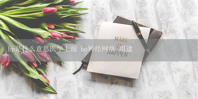 bp是什么意思医学上面 bp神经网络 用途插图