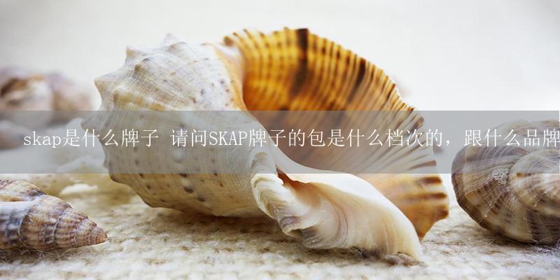 skap是什么牌子 请问SKAP牌子的包是什么档次的，跟什么品牌是一级的插图