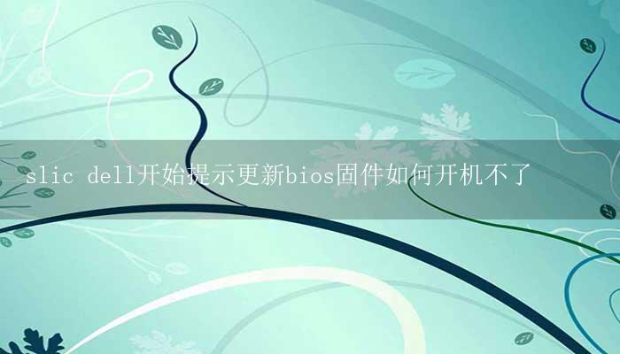 slic dell开始提示更新bios固件如何开机不了插图