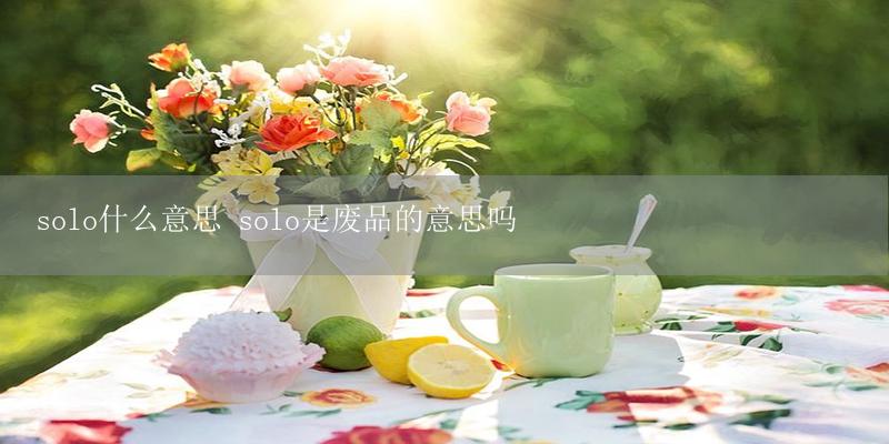 solo什么意思 solo是废品的意思吗插图