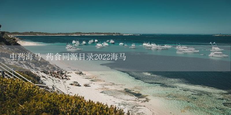 中药海马 药食同源目录2022海马插图