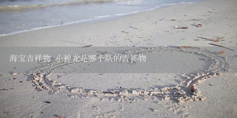 海宝吉祥物 小神龙是哪个队的吉祥物插图