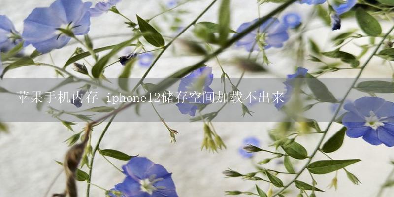 苹果手机内存 iphone12储存空间加载不出来插图