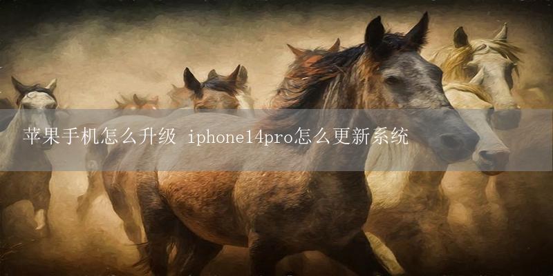 苹果手机怎么升级 iphone14pro怎么更新系统插图