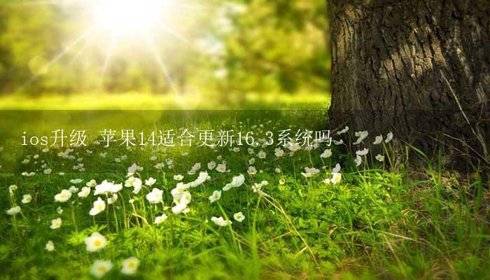 ios升级 苹果14适合更新16.3系统吗插图